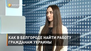 Как в Белгороде найти работу гражданам Украины