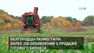 Белгородцы разместили более 200 объявлений о продаже готового бизнеса