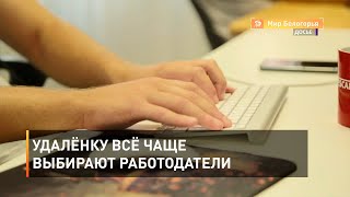 Удалёнку всё чаще выбирают работодатели 