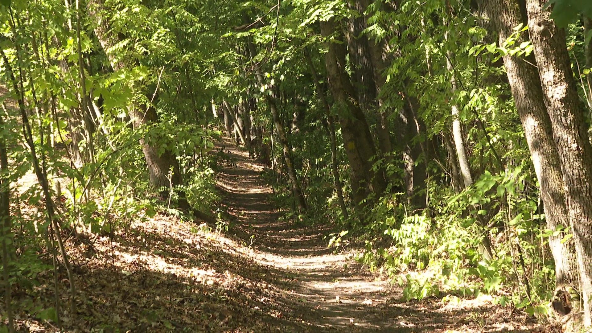 zapovednik 0609